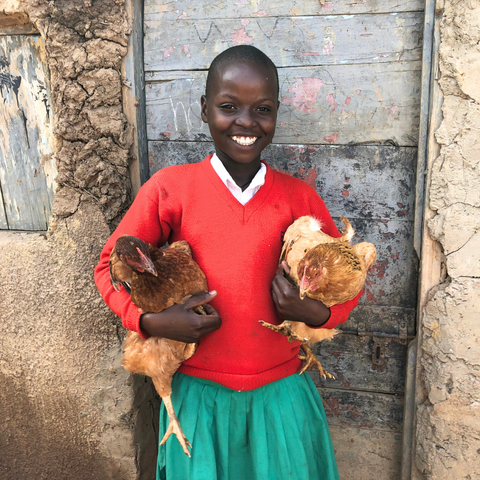 🐔 Sponsor a Chicken