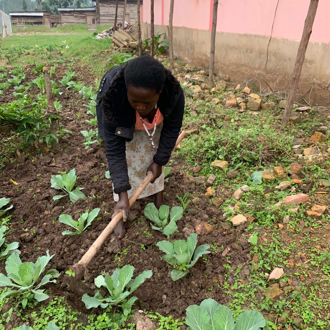 Grow Our Gardens