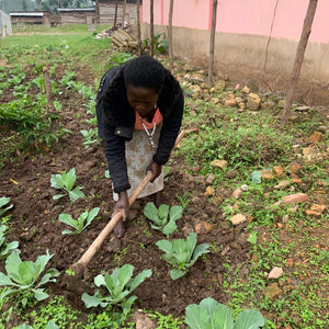 Grow Our Gardens