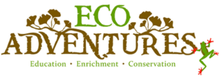 Eco Adventures:  2 Passes to Jungle Expres  ($36 Value!)