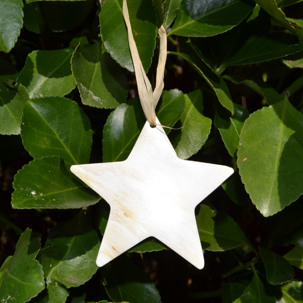 Horn Ornament (11 Options)