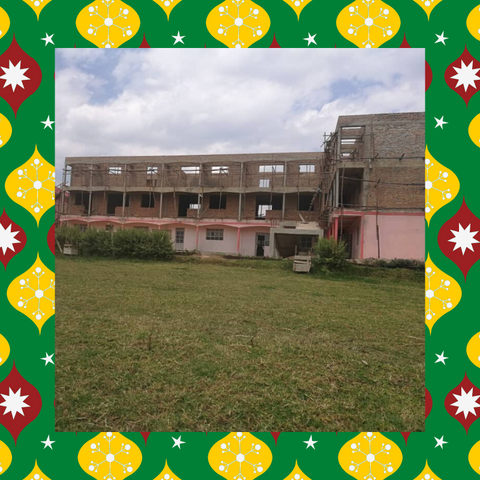 Raise the Roof! Help Us to Finish Our School.