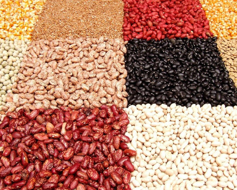Beans